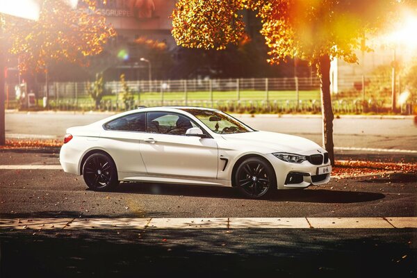 White BMW with black wheels on the background of an autumn forest