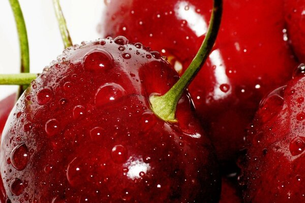 Rote Kirschen mit Wassertropfen