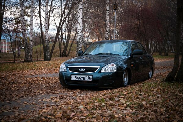 Sur le tapis du feuillage d automne roule tranquillement devant les bouleaux Lada Priora