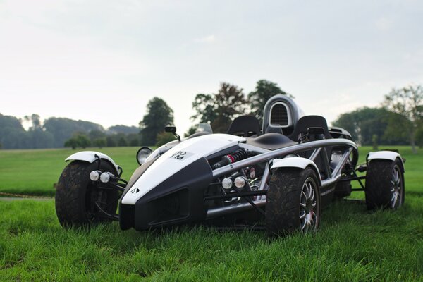 Black, stylish car on green grass