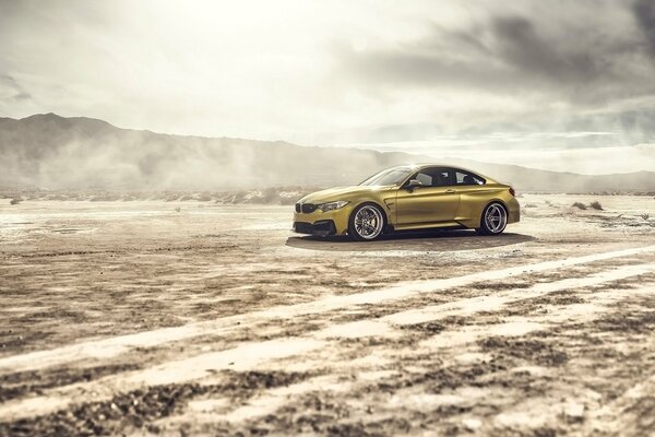 Ein goldener schöner Mann in der Wüste. bmw gtrs4 vorsteine