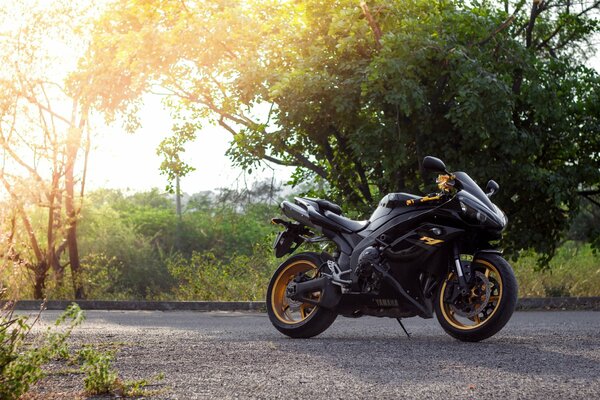 There is a motorcycle among the trees and the bright sun