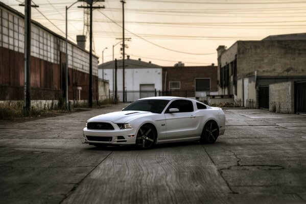 Mustang blanco se encuentra en casas abandonadas