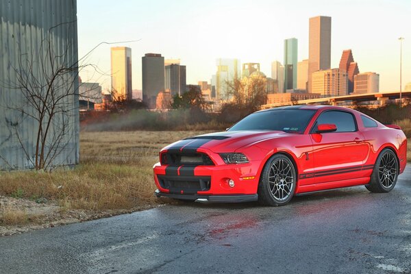 Czerwony Shelby Cobra Ford Mustang GT500 na polu tło miasta