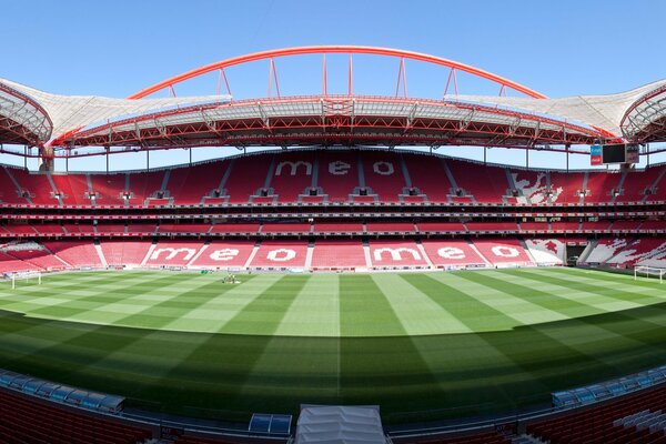 Nouveau terrain vert au stade du Portugal