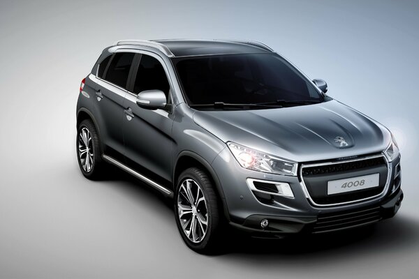 Luxury silver-grey peugeot