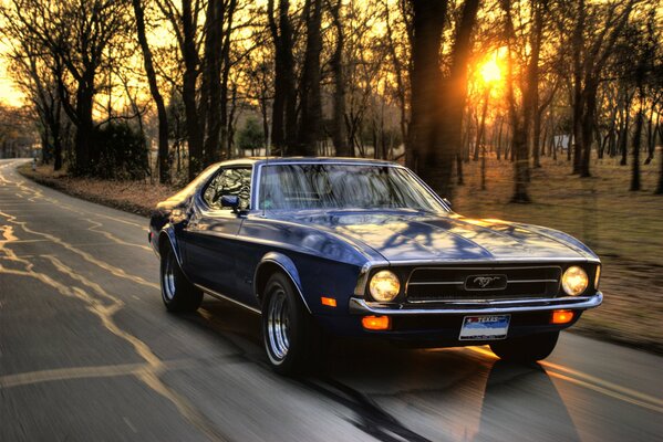 Ford Mustang at sunset in the trees