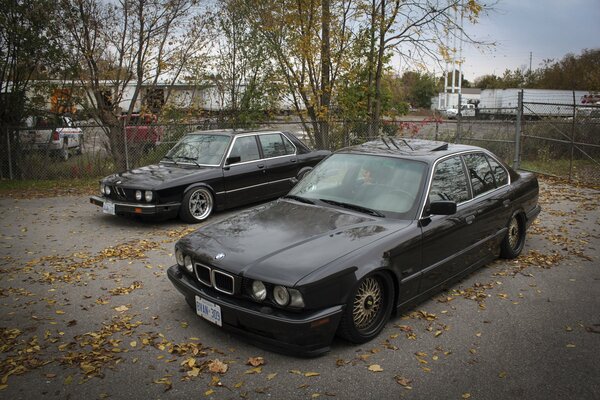 BMW, classic autumn and fallen leaves, as in 99x