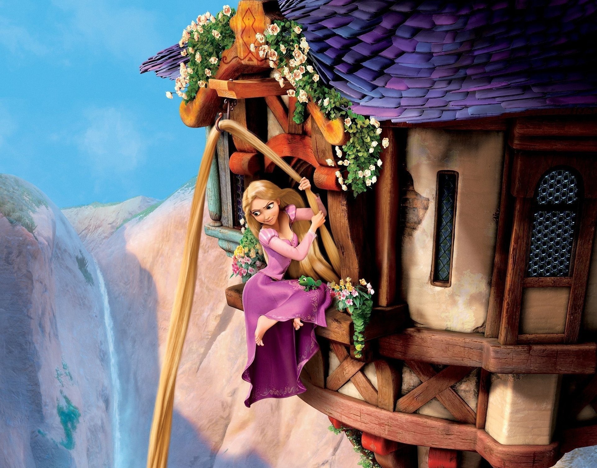 rapunzel tangled histoire confuse fleurs princesse dessin animé fille roches maison abîme hauteur rideau peur dessins filles anime contes de fées dessin animé