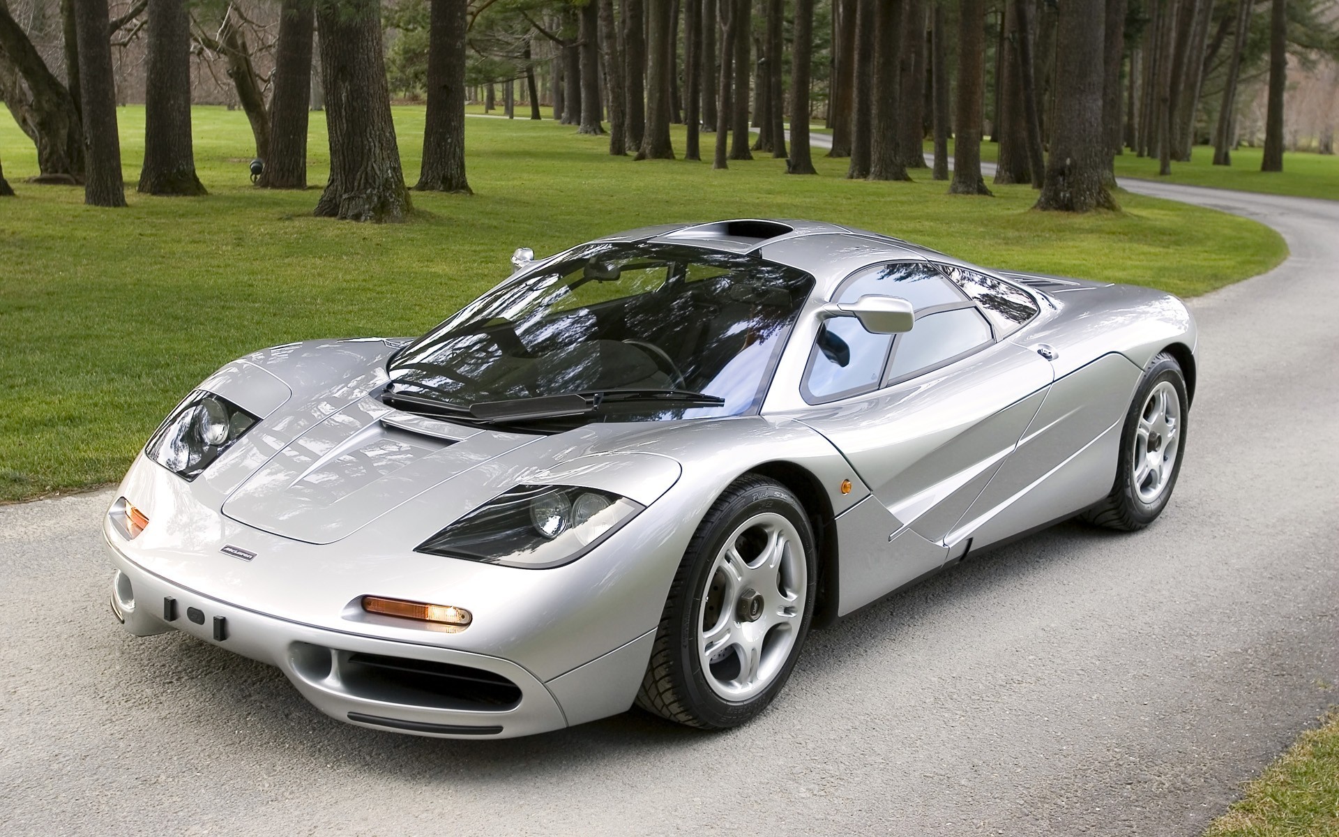 mclaren f1 argento automobili