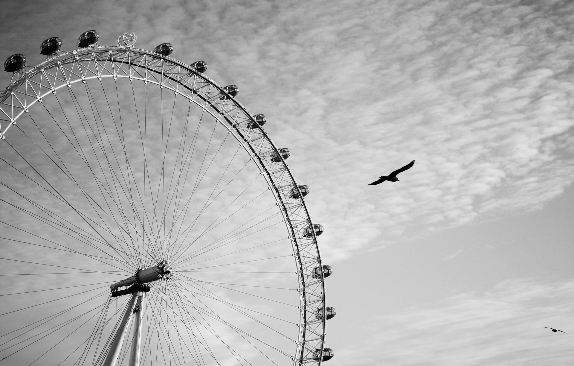 лондонский глаз london eye атракцион london лондон колесо обозрения колесо серость ч-б черно-белый высота птица орел небо облака серый фон животные