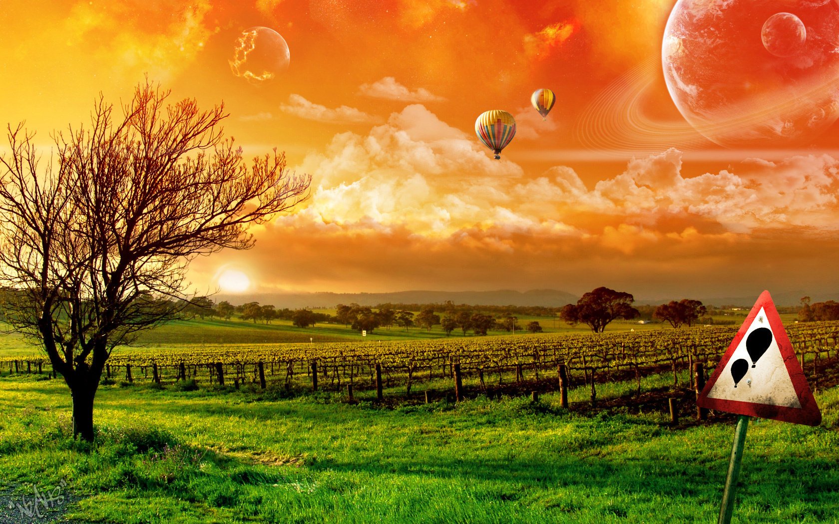 dirigeable signe ciel nuages coucher de soleil ballons herbe verdure champs arbre ciel orange nature