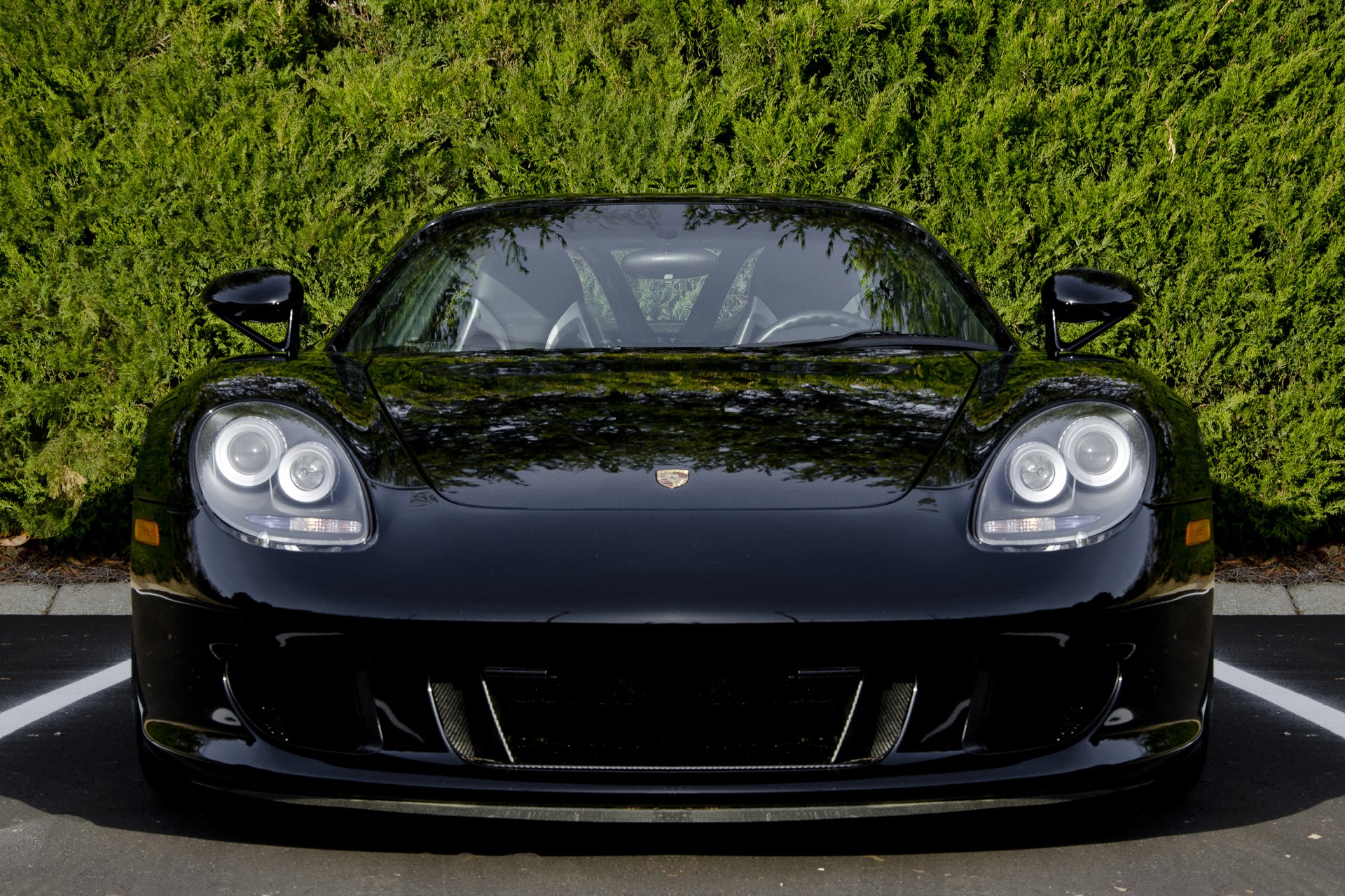 porsche carrera gt negro frente árbol porsche carrera frente árboles