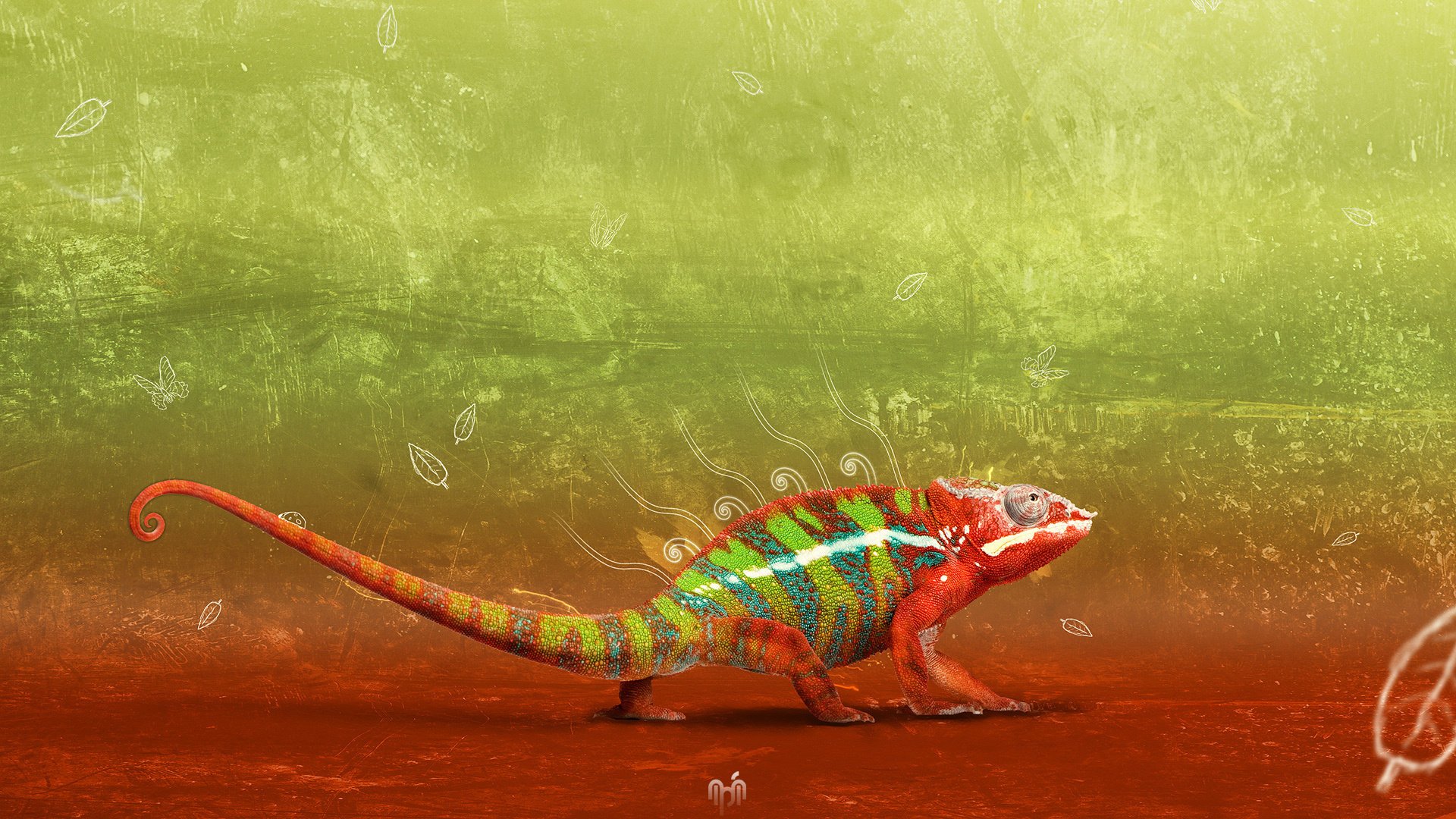 chameleon color light texture animals brightness greens red