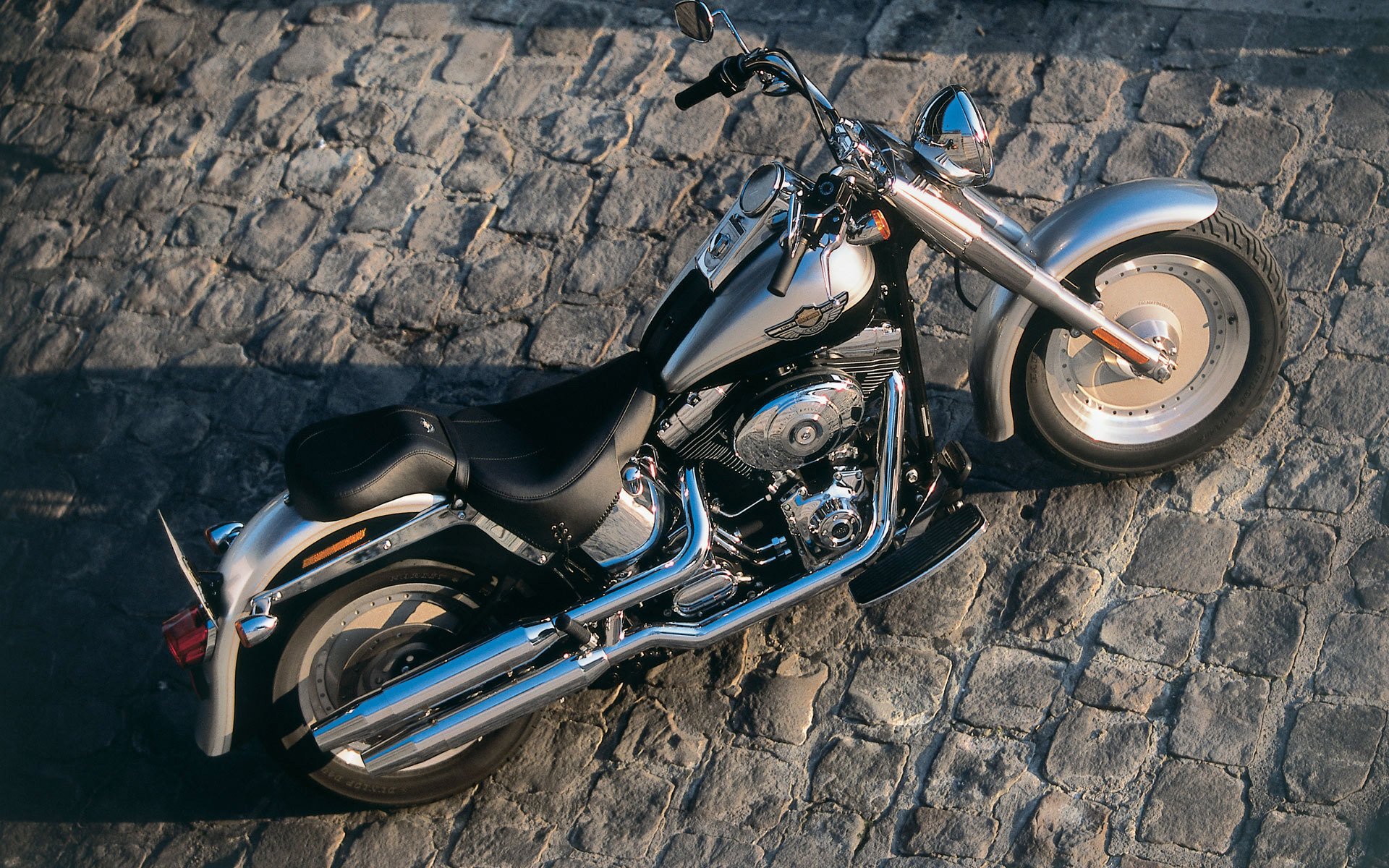 harley davidson silver