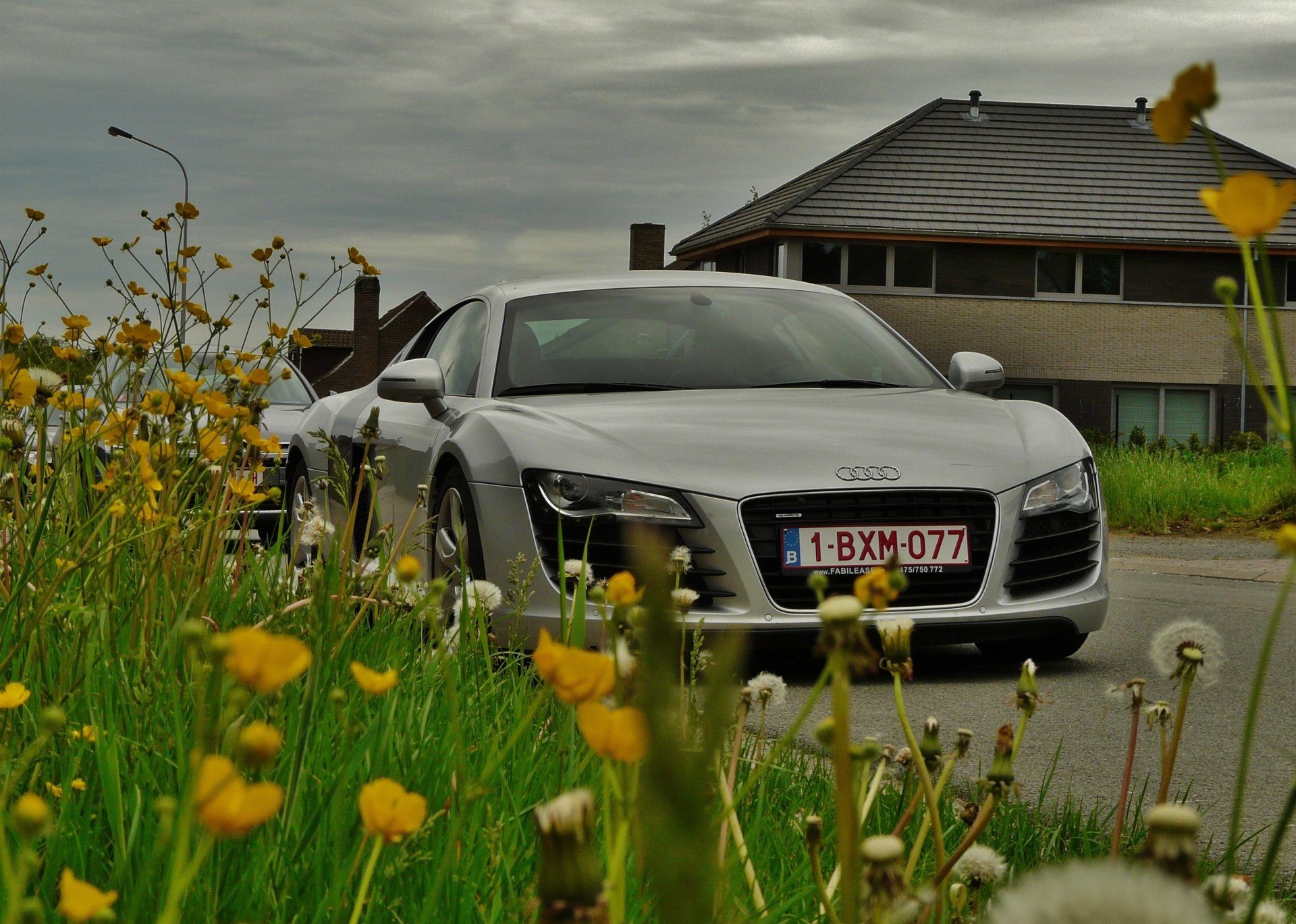 blumen gras löwenzahn straße auto audi r8 mittelmotor allradantrieb supersportwagen haus himmel wolken