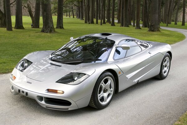 Mclaren f1-Auto, Farbe Silber