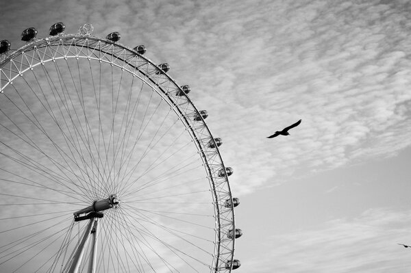 Un águila vuela junto a una noria en Londres