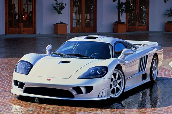 Schöner sportlicher Supersportwagen saleen s7