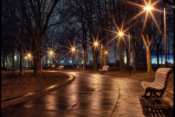 Vicolo del parco a tarda notte