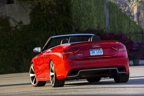 Rear view of a red Audi car on a mountain background