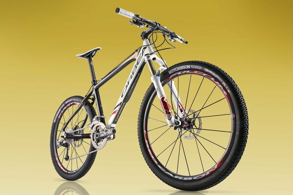 Sports mountain bike. Beautiful bike design. Bicycling