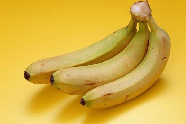 A branch of bananas on a yellow background