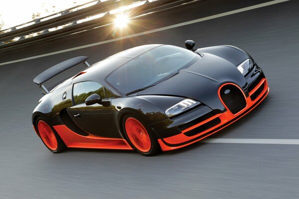 Bugatti veyron rides in the sun