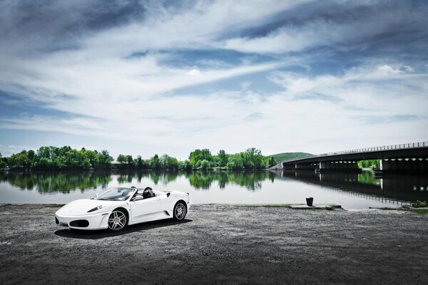 A snow-white beauty flaunts near a smooth river