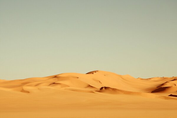 Sunny sandy desert dunes