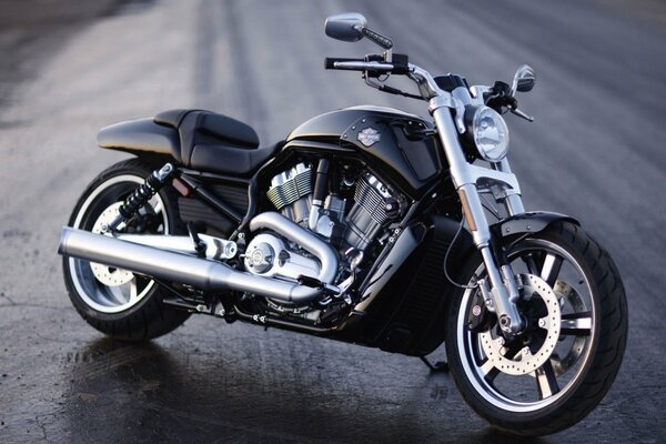 Harley Davidson/Schwarz