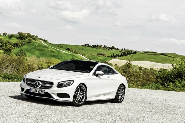 White Mercedes S-class on a white surface