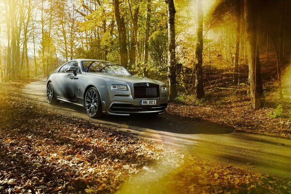 Grauer Rolls-royce fährt durch den Herbstwald