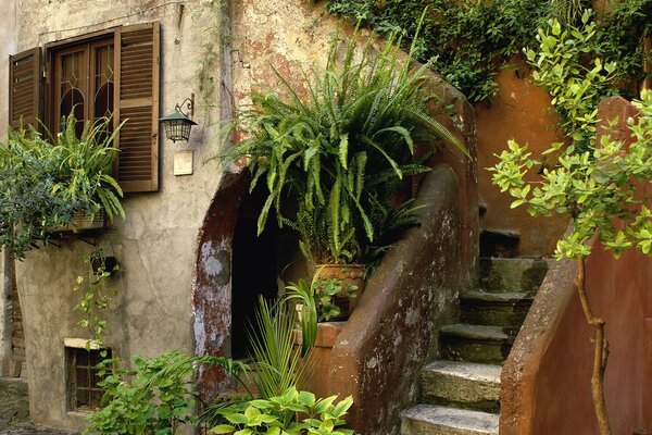 Maison italienne. Escalier en couleurs