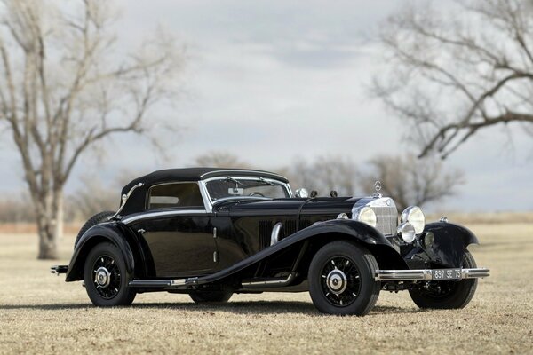 Black mercedez benz convertible on the grass among the trees