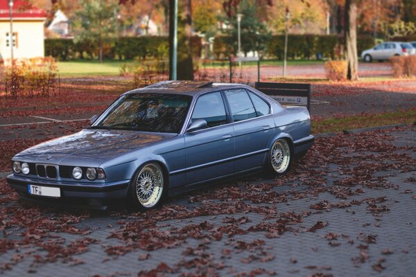 Sieht auf dem herbstlichen Hintergrund des bmw E34 schön aus. Einwandfreies Tuning