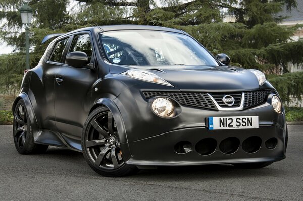 Voiture de couleur noire de la marque Nissan Beetle