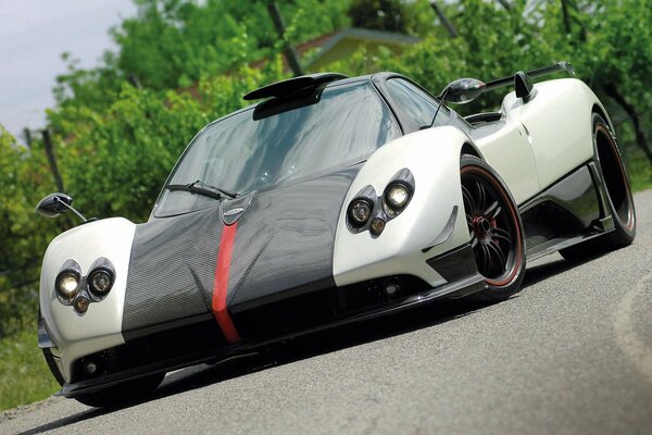 Supersamochód pagani zonda biało-czarny