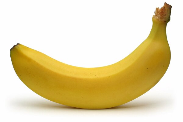 A lonely banana on a white background