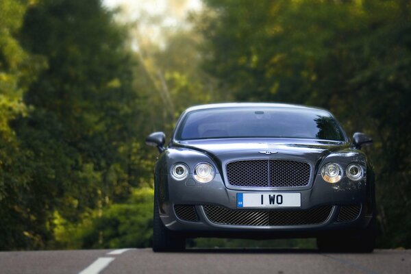 A nice bentley on a forest road