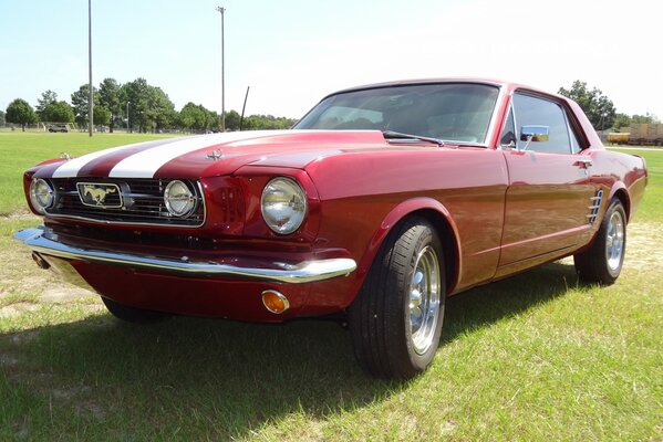 Ein roter Auto-Mustang steht auf dem Rasen