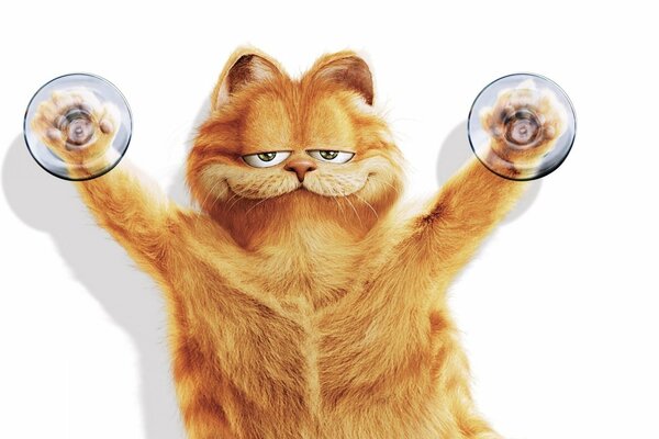 Zadowolony Garfield na przyssawkach