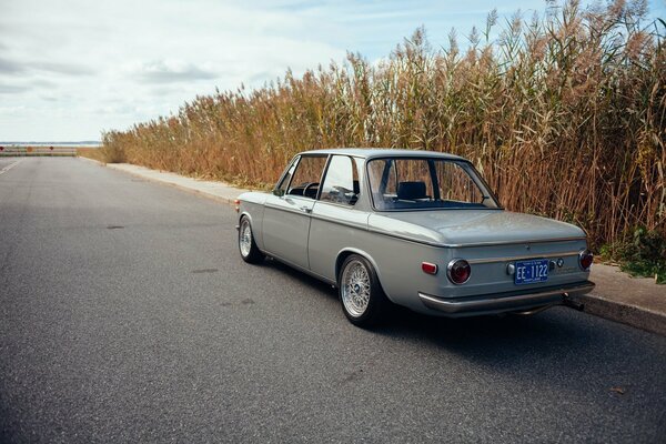 Bmw e10 1969. Classique sur fond de roseaux