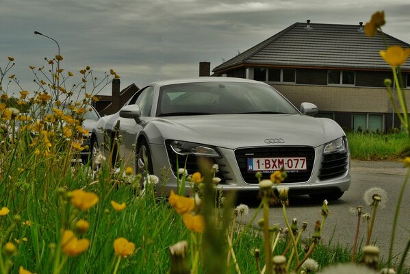 Coche audi r8 blanco junto a los colores