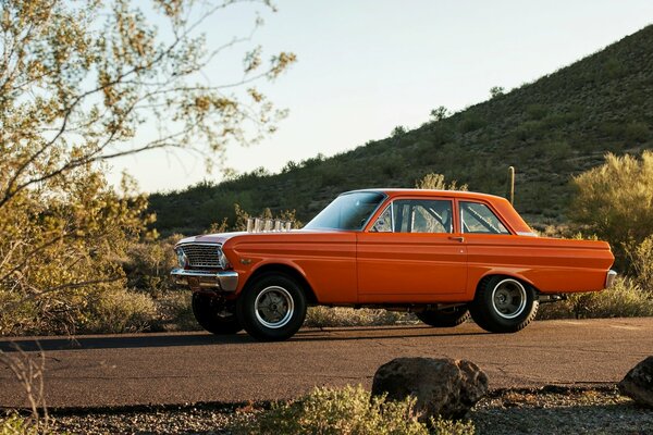 A red car on the road. Dry trees and grass