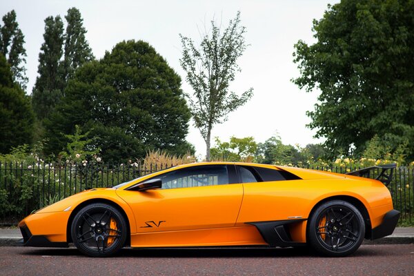 Orange lamborghini murcielago in profile