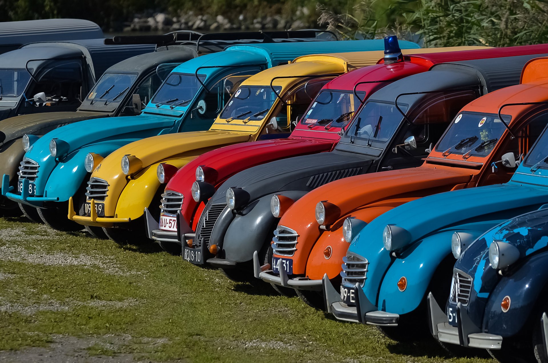 citroen 2cv ряд ретро цвет краска фара выставка