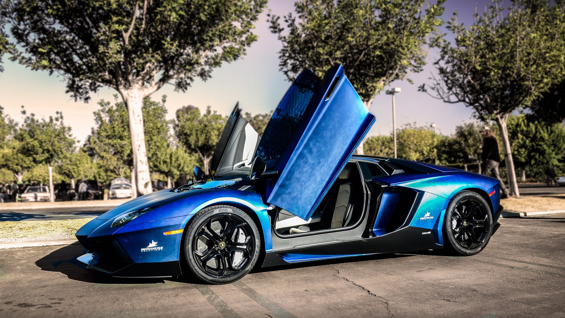 lamborghini aventador blau straße baum lamborghini aventador bäume