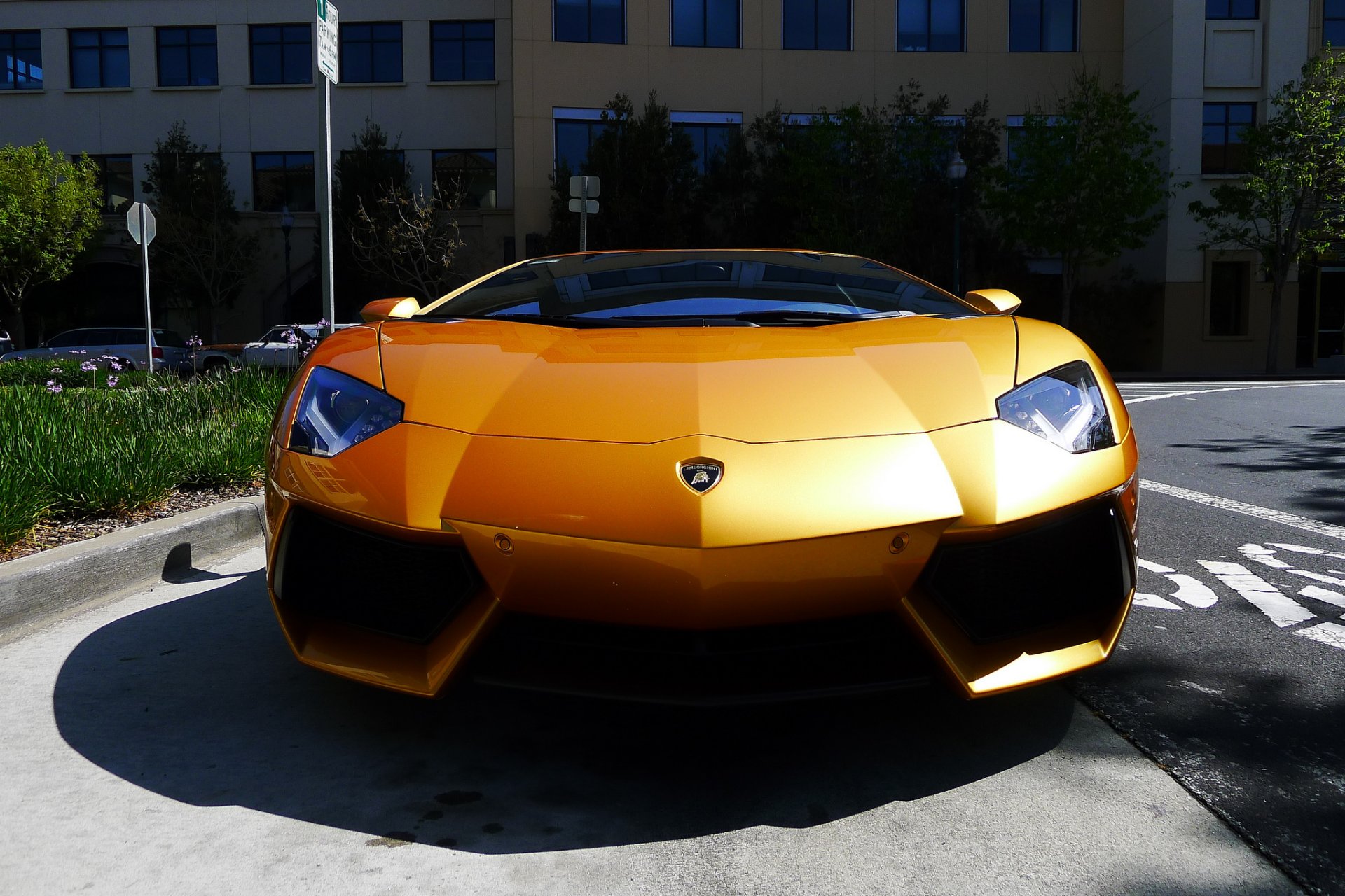 lamborghini aventador lp700-4 желтый ламборгини авентадор передок тень отражение