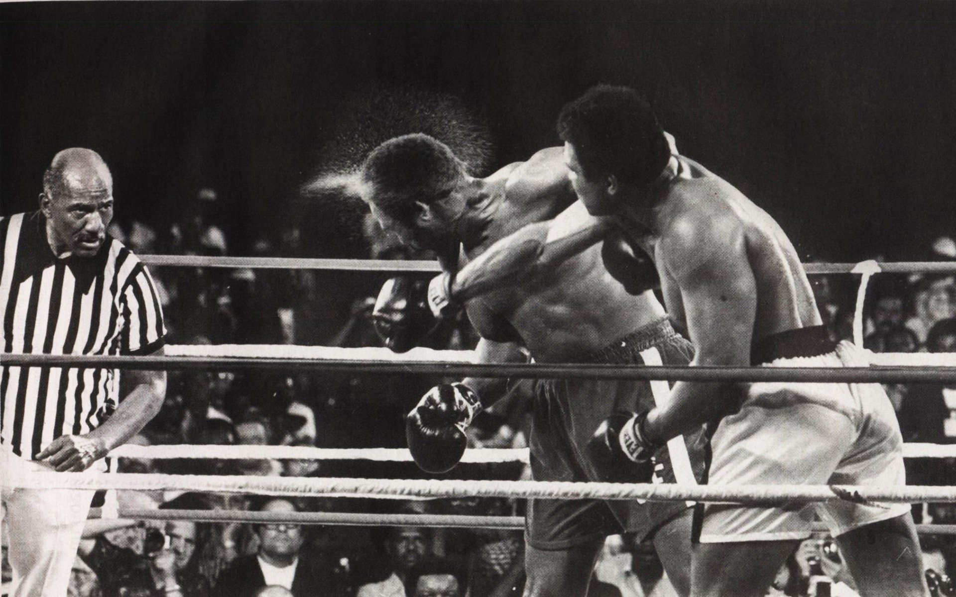 muhammad ali deporte boxeo patada duelo b-b hombres ring